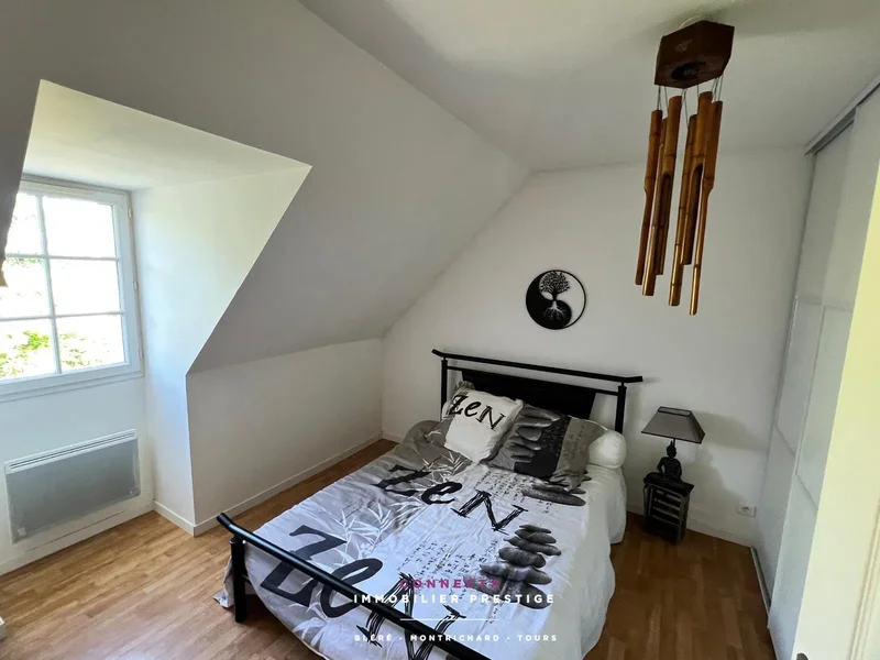 Athée-sur-Cher, Centre-Val de Loire, France. - Photo 20