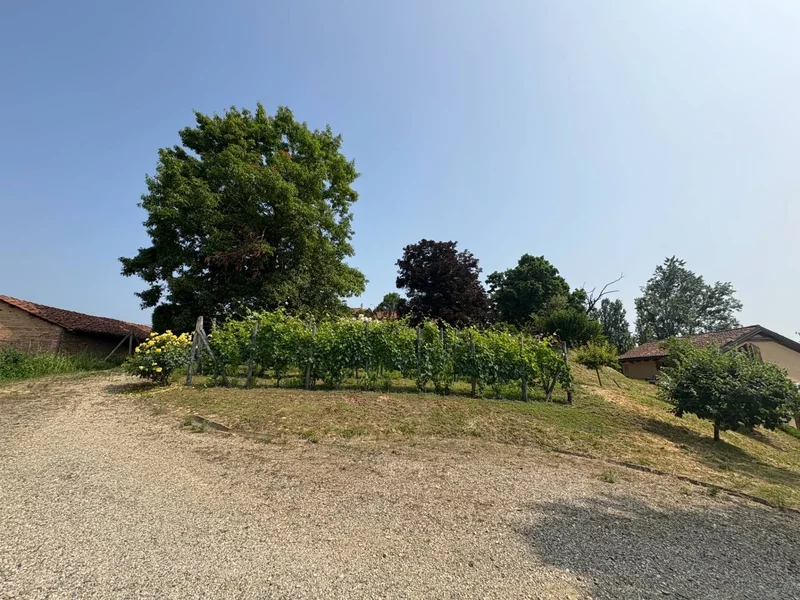 via Eugenio Durando 26, 0 Portacomaro (Asti), Asti, Piedmont, Italy. - Photo 88