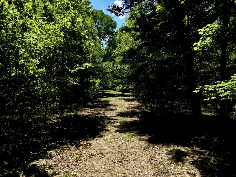 0 Big Marrrowbone Rd, Ashland City, TN 37015, Pegram, Tennessee, United States. - Photo 2