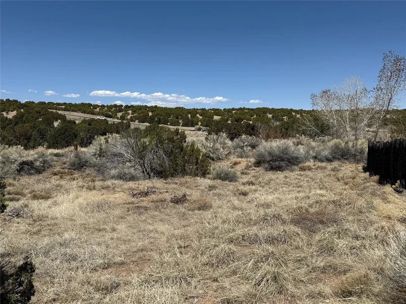 147 Avenida Frijoles, Santa Fe, NM 87507, Santa Fe, New Mexico, United States. - Photo 7