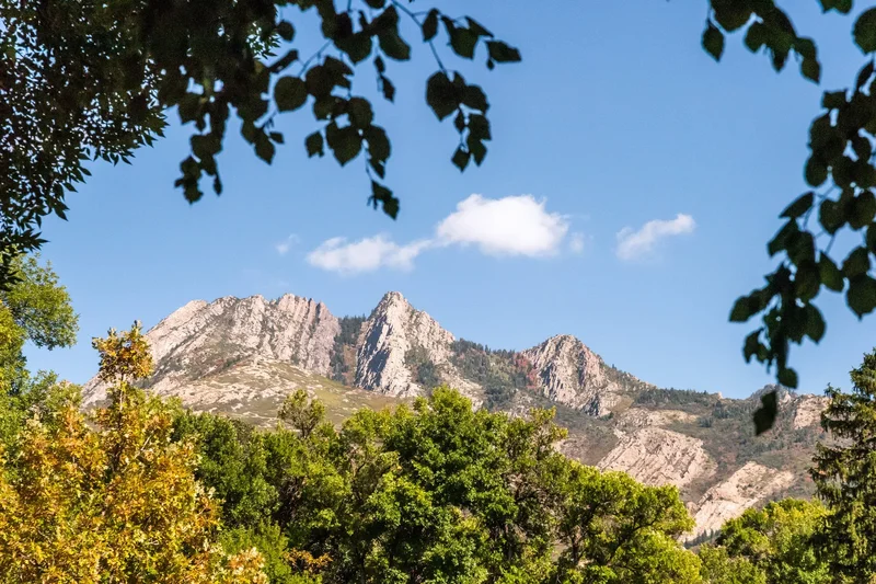 2250 E Murray Holladay Road Unit 308, Holladay, UT 84117, Holladay, Utah, United States. - Photo 31