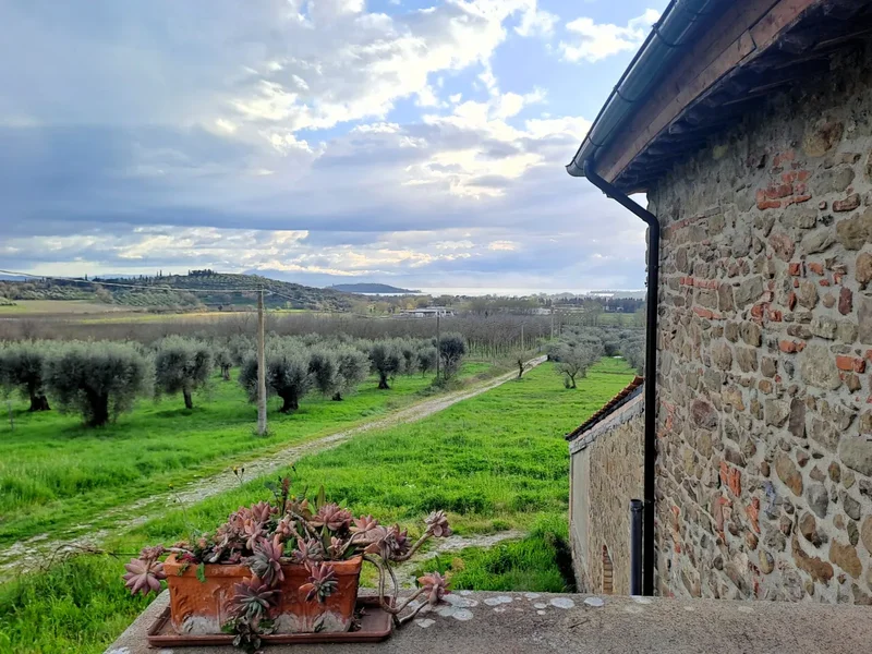 Località Pischiello, Umbria, Italy. - Photo 19