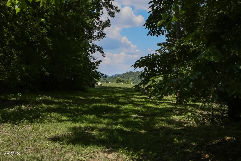 501 Williams Road, Rogersville, TN 37857, Rogersville, Tennessee, United States. - Photo 24