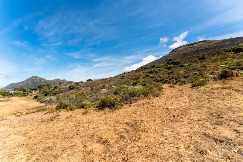 Cape Town, Western Cape, South Africa. - Photo 20