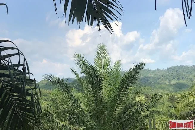 Phang Nga,, Tham, Phang-nga, Thailand. - Photo 1