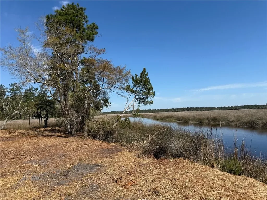 0 US 17 Highway, Waverly, GA 31565, Waverly, Georgia, United States. - Photo 4