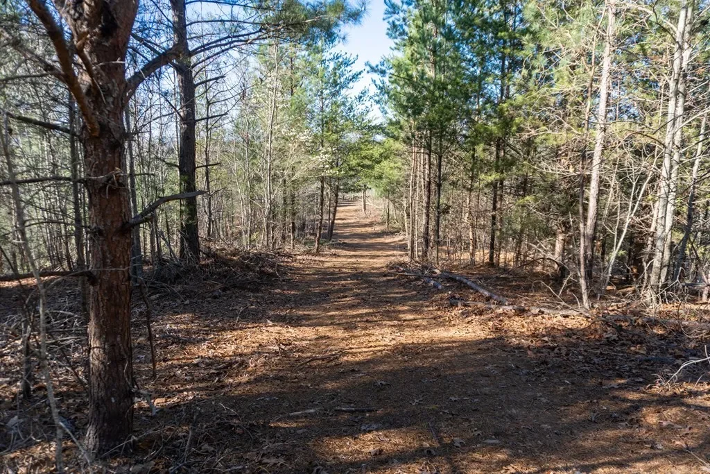 41AC Loving Road, Blairsville, Georgia, United States. - Photo 25