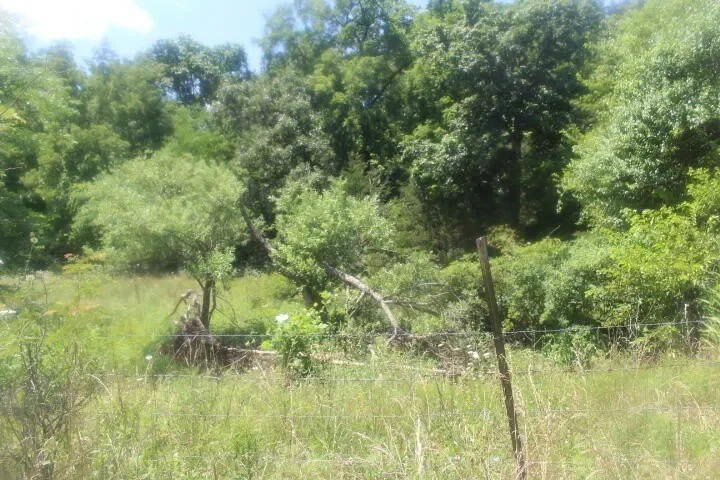 3176 S 170th Road, Polk, MO 65727, Bolivar, Missouri, United States. - Photo 45