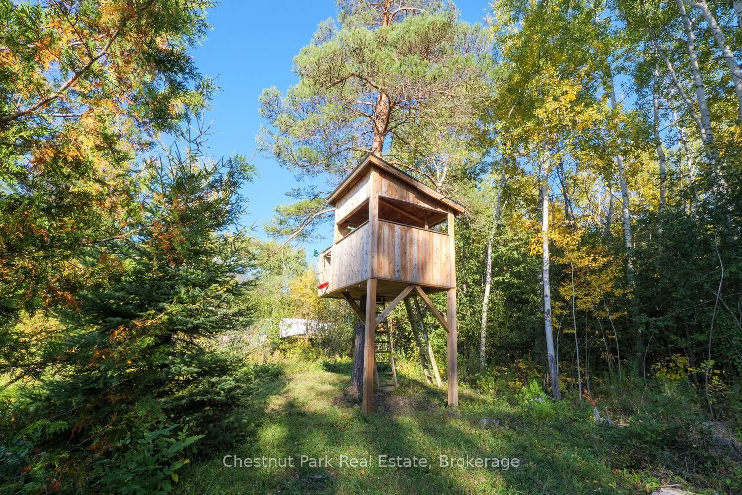 3573 East Bayshore Road, Owen Sound, Ontario, Canada. - Photo 6