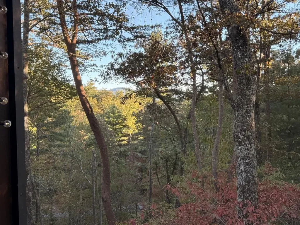 35 Leatherwood Mountain Road, Cherry Log, Georgia, United States. - Hero Image