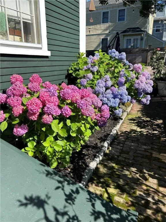 43 Poplar Street, Newport, RI, 02840, USA, Newport, Rhode Island, United States. - Photo 20
