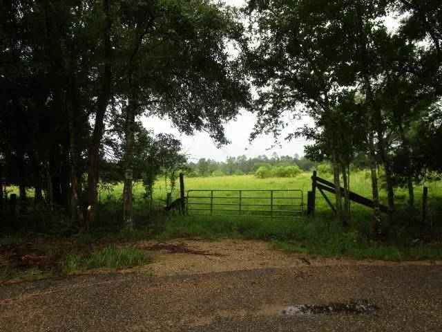0 FIELDER Lane, Clayton, Georgia, United States. - Photo 2