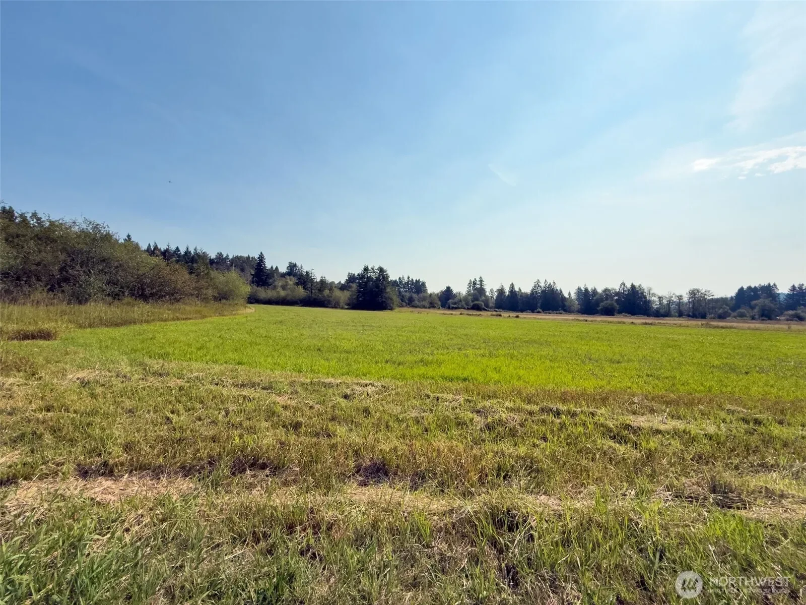 104 Bills Lane, Onalaska, WA 98570, Onalaska, Washington, United States. - Photo 24