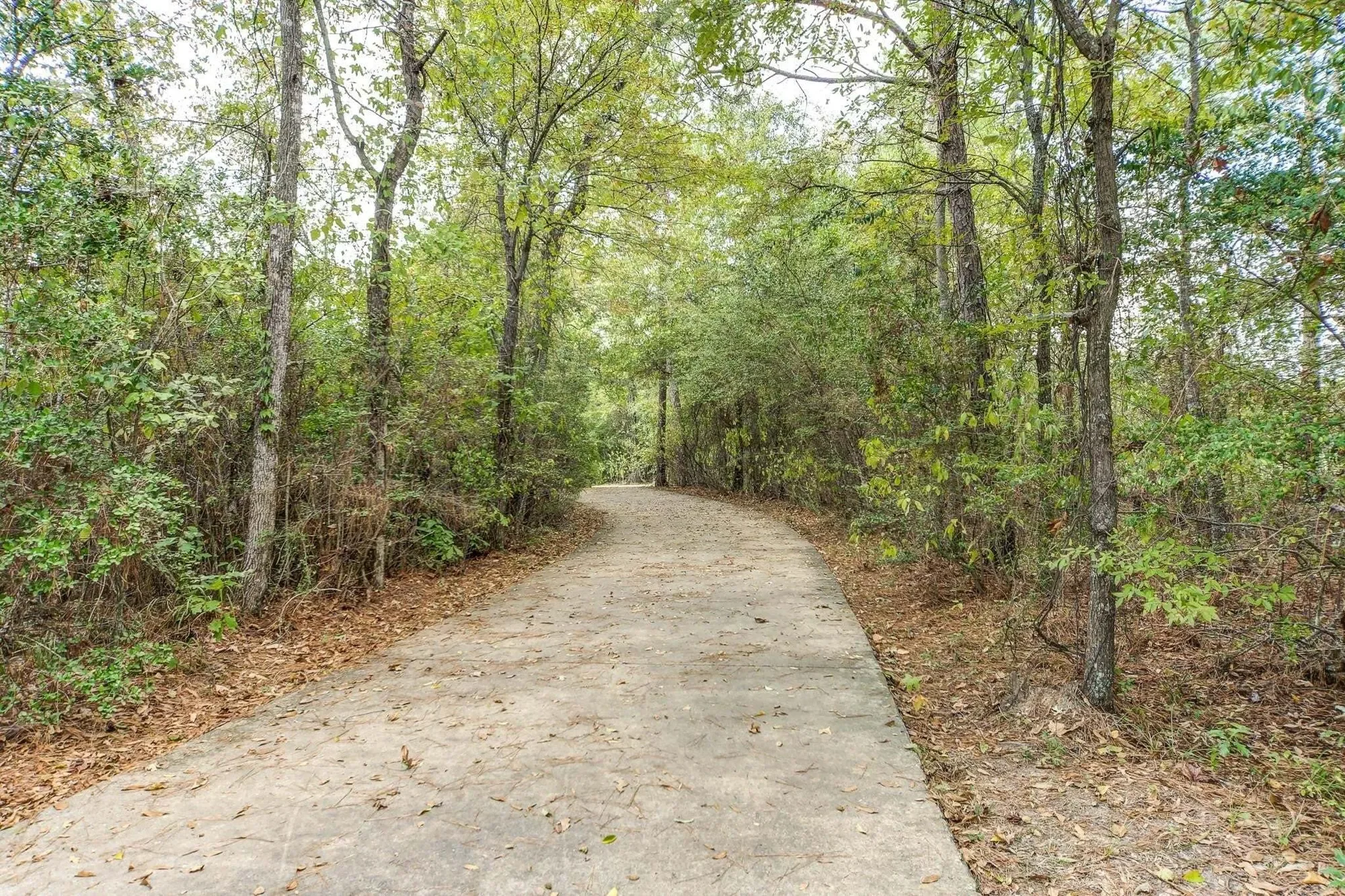 1916 Golden Spruce Lane, Conroe, TX 77301, Conroe, Texas, United States. - Photo 21
