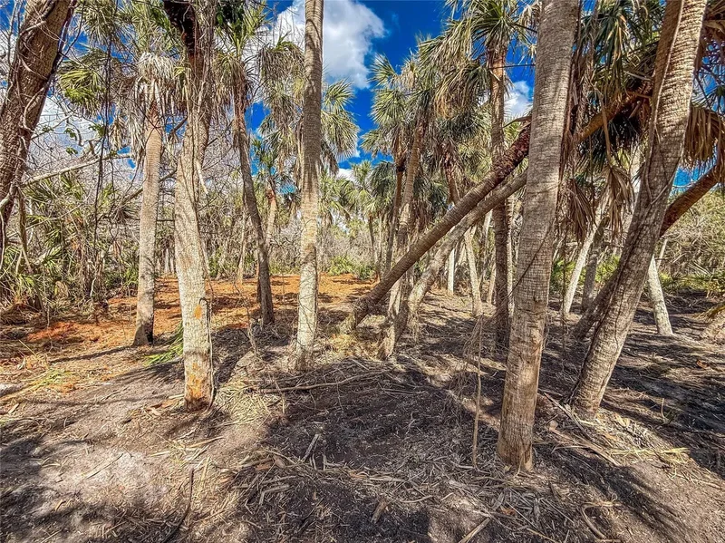 0 Bay Side MANASOTA KEY ROAD #Bay Side, ENGLEWOOD, FL 34223, Englewood, Florida, United States. - Photo 6