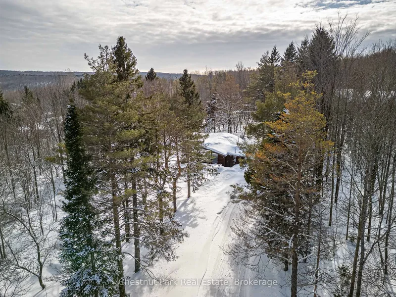 116 Castleview Road, Collingwood, Ontario, Canada. - Photo 4