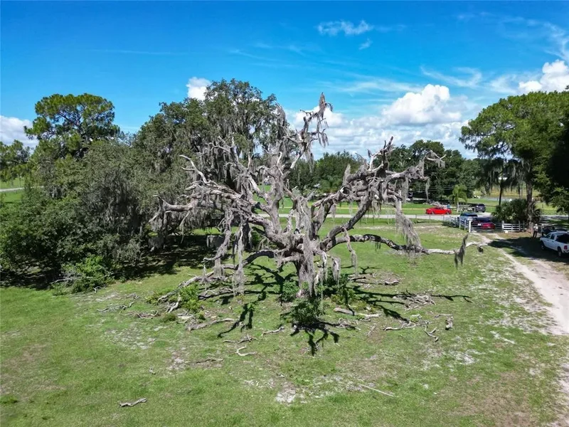 8315 Tom Costine Road, Lakeland, FL 33809, Lakeland, Florida, United States. - Photo 7