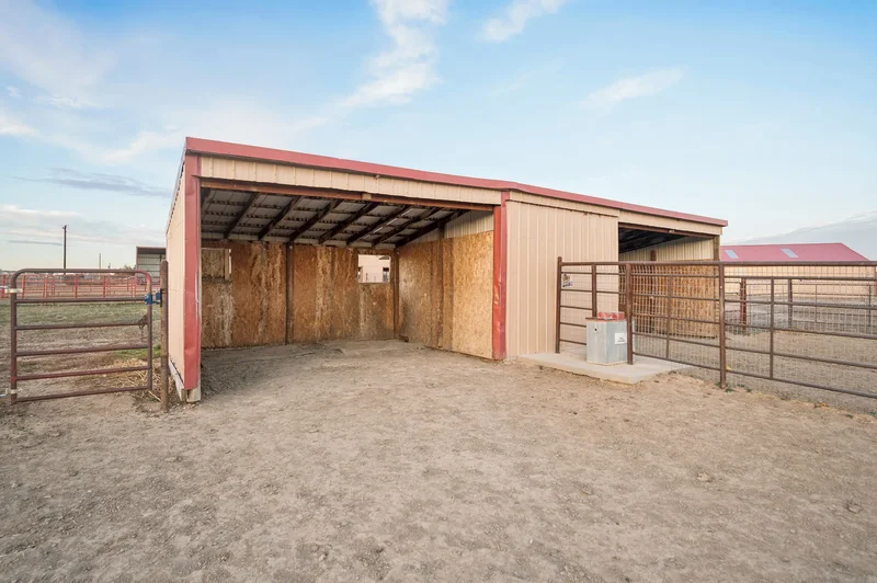 3313 Lowell Ln , Erie, CO 80516, Erie, Colorado, United States. - Photo 56