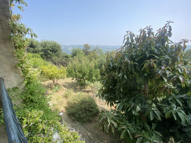 Gattières, Provence-Alpes-Côte d'Azur, France. - Photo 9