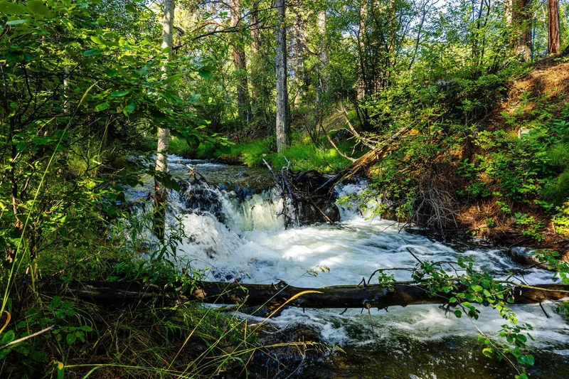 26 Fawn Trail, Banner, Wyoming, United States. - Photo 5