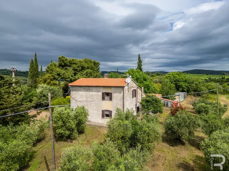 58042 Campagnatico, Province of Grosseto, Italy, Campagnatico, Tuscany, Italy. - Photo 1