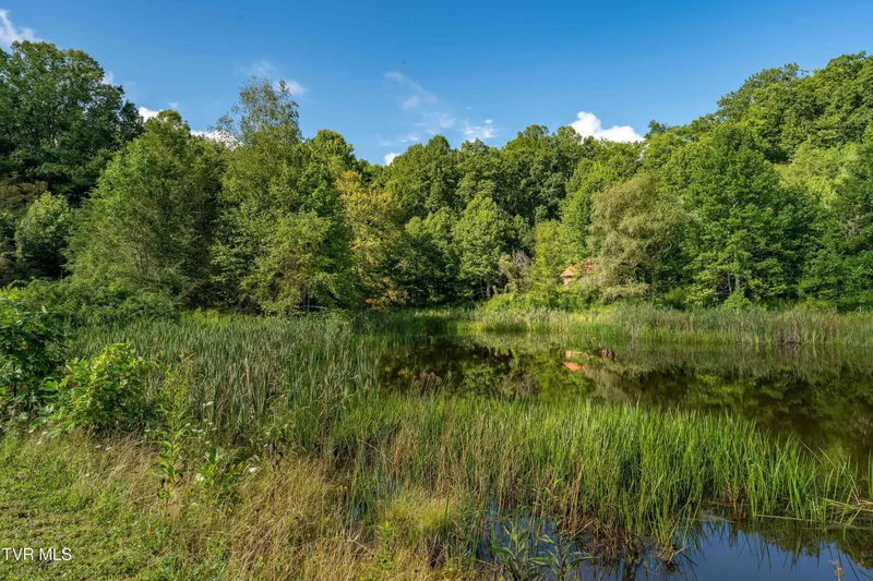 306 Bear Branch Rd, Roan Mountain, TN 37687, Roan Mountain, Tennessee, United States. - Photo 46