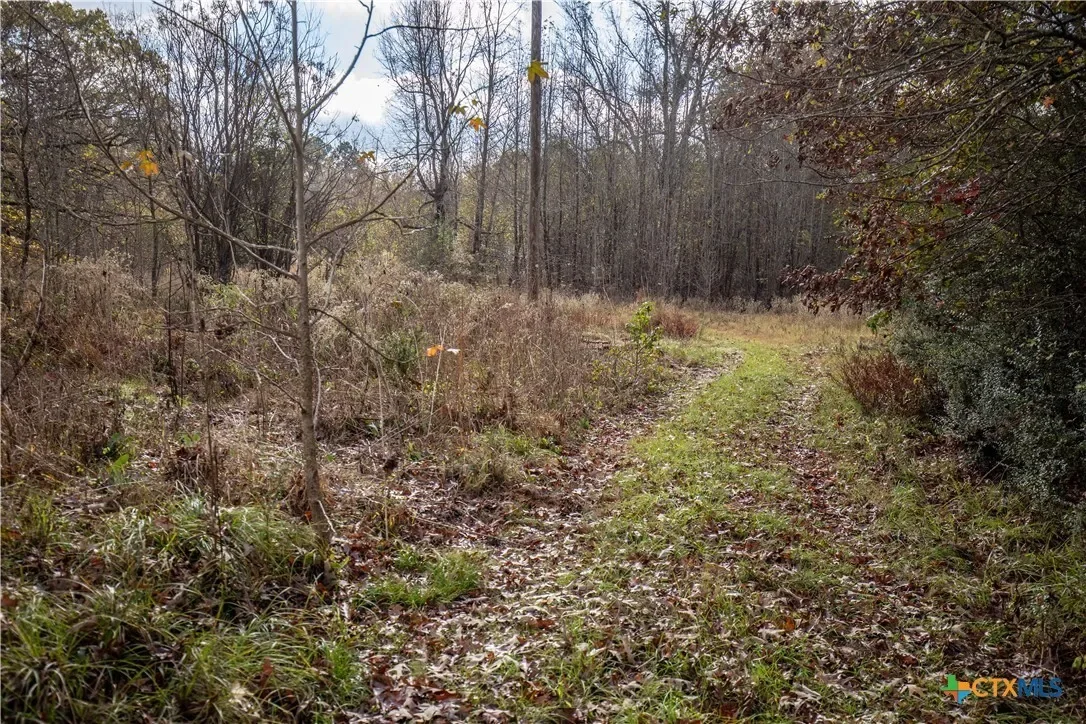 474 Pr 4311, White Oak, TX 75693, Longview, Texas, United States. - Photo 21