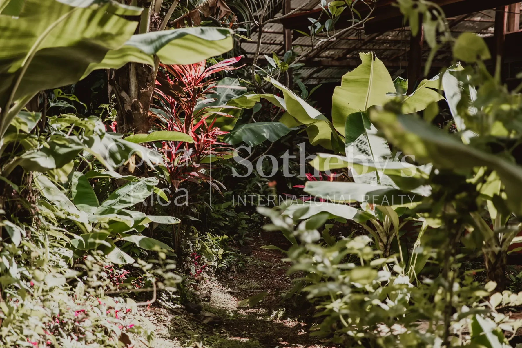 Gallery photo 3