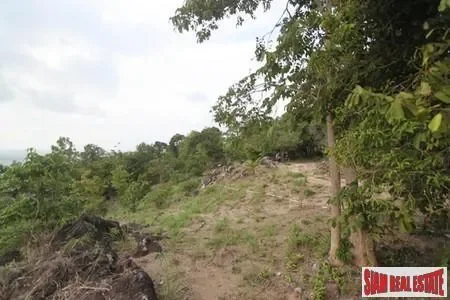 Surat Thani,, Surat Thani, Surat Thani, Thailand. - Photo 7