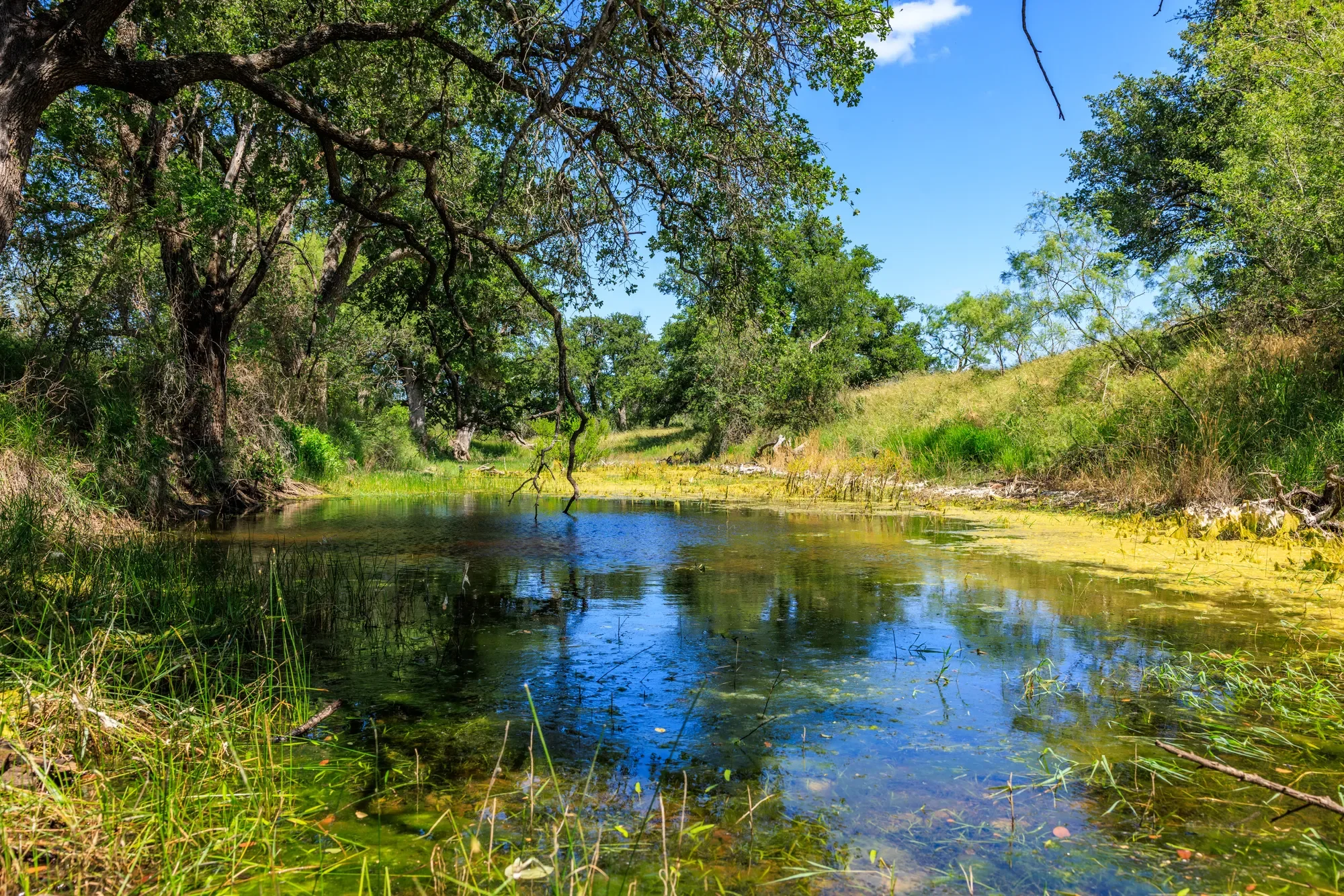 Brady Creek Ranch CR 3388, Melvin, TX 76858, Melvin, Texas, United States. - Photo 41