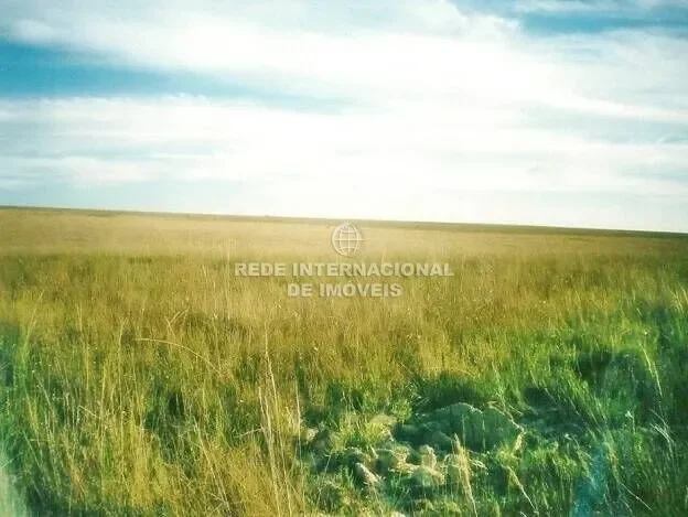 General Maynard, State of Sergipe, Brazil. - Photo 2