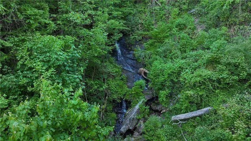Clarkesville, Georgia, United States. - Photo 32