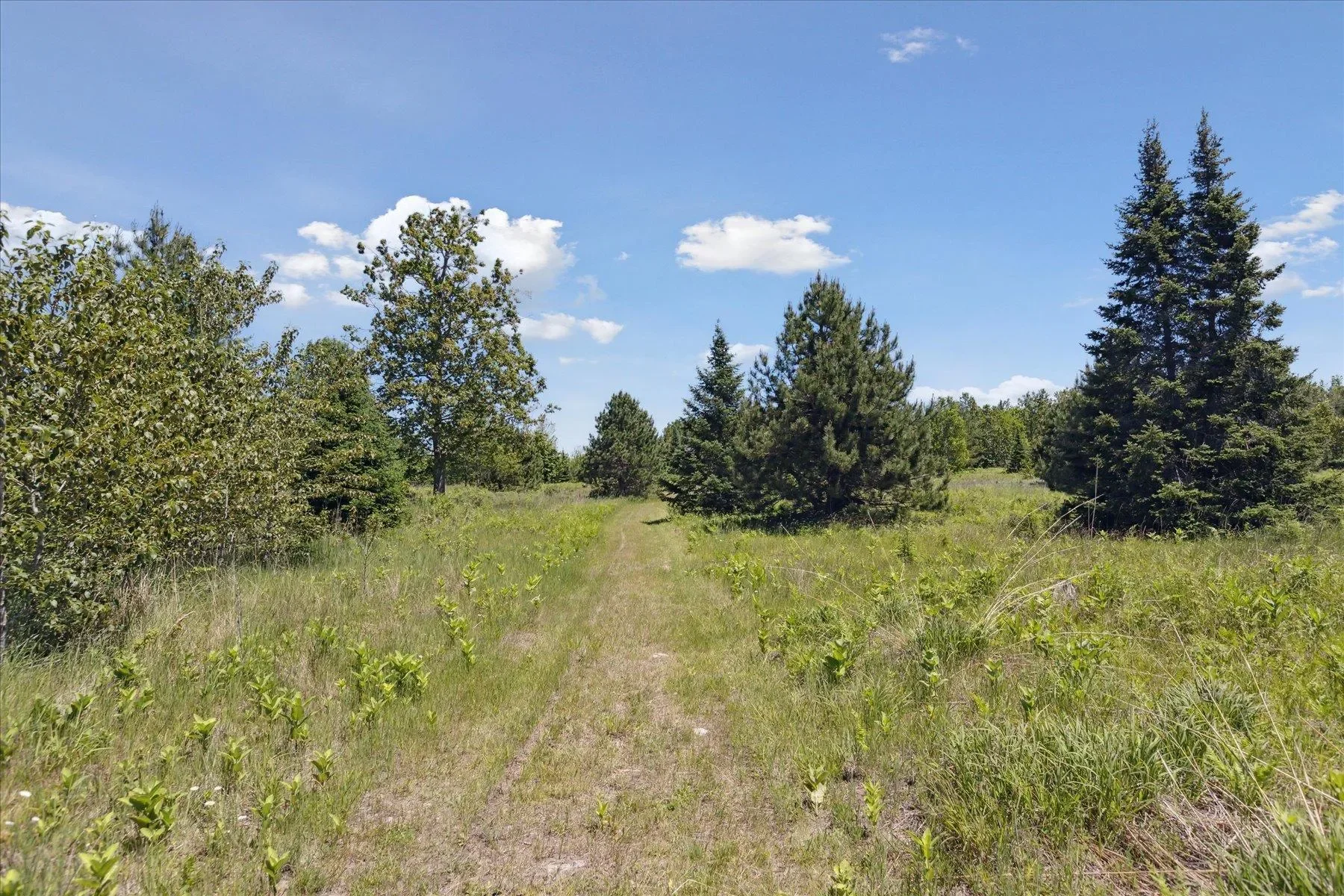 9842 Misery Bay, Alpena, MI 49707, Alpena, Michigan, United States. - Photo 17