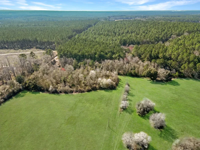 4343 East Plympton Road , Laurel Hill, FL 32567, Laurel Hill, Florida, United States. - Photo 25