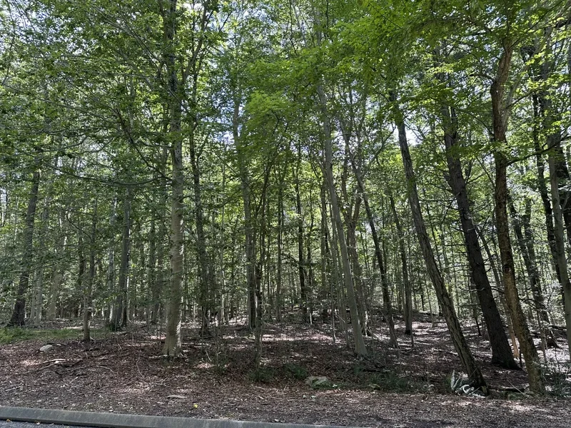 21 S Brook Dr, New Canaan, Connecticut, United States. - Photo 25