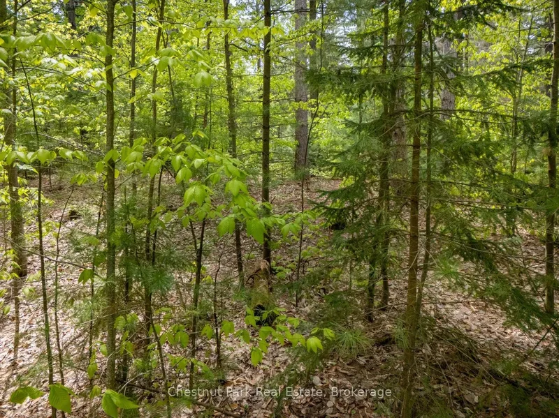 PT 2 LT 24 4th Line E, Shelburne, Ontario, Canada. - Photo 4