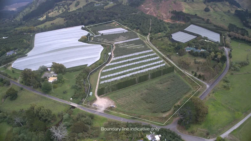 41 Ross Ware Drive, Athenree Gorge 3177, New Zealand, Athenree Gorge, Bay of Plenty, New Zealand. - Photo 2