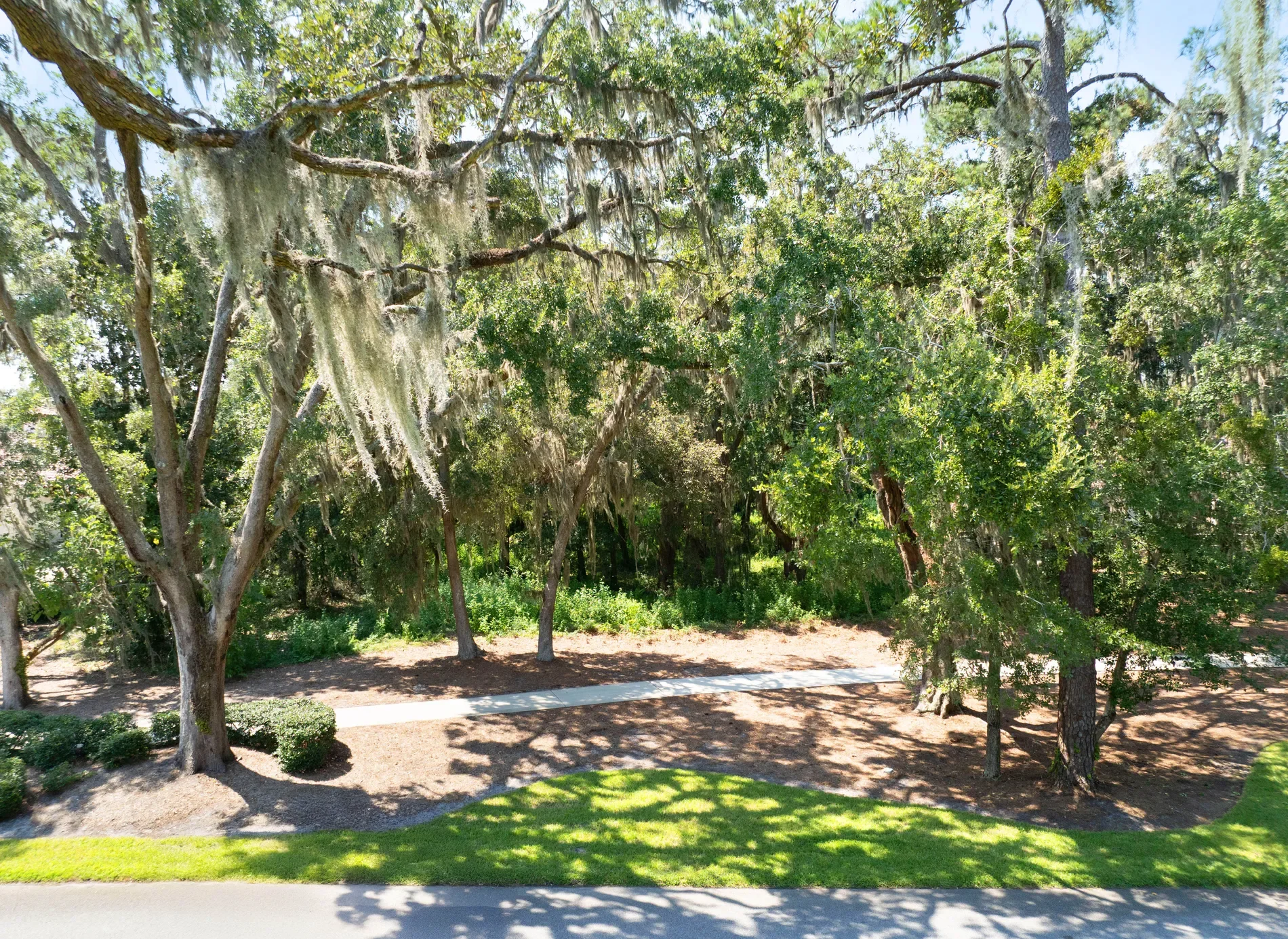 Gallery photo 5