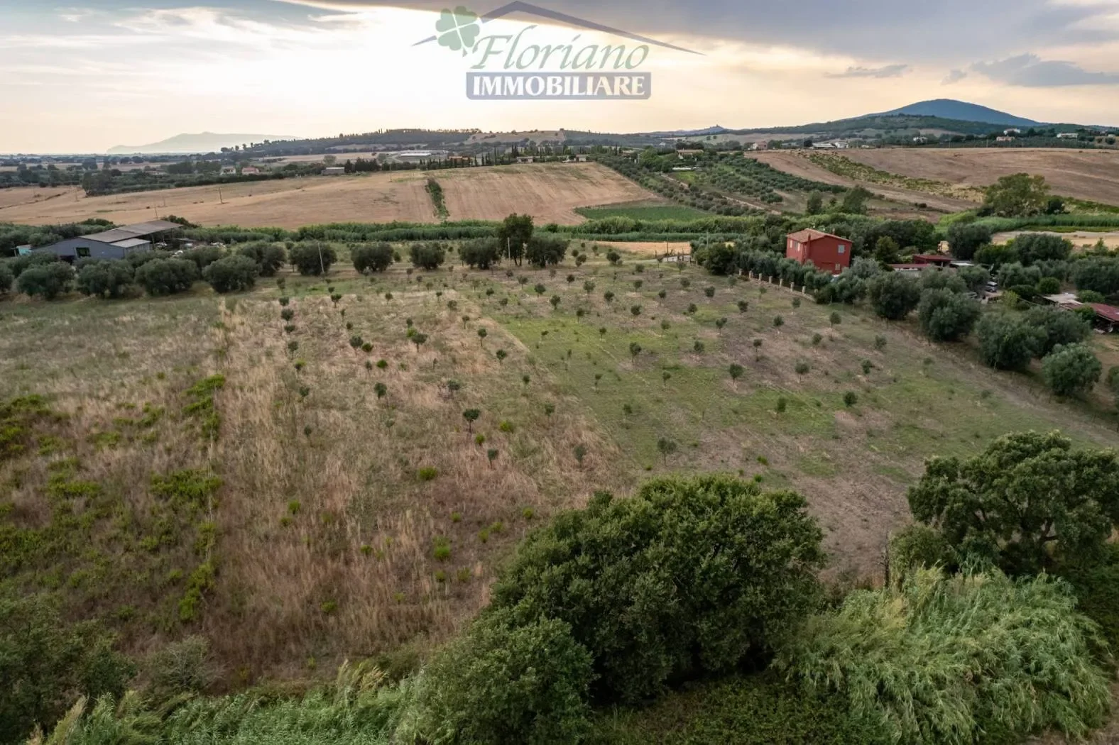Località Belvedere, Montalto di Castro, Lazio, Italy. - Photo 11