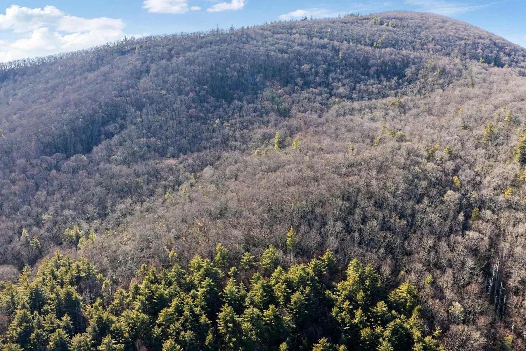 00 Off Zeb Buchanan Road, Cullowhee, NC 28723, Cullowhee, North Carolina, United States. - Photo 19