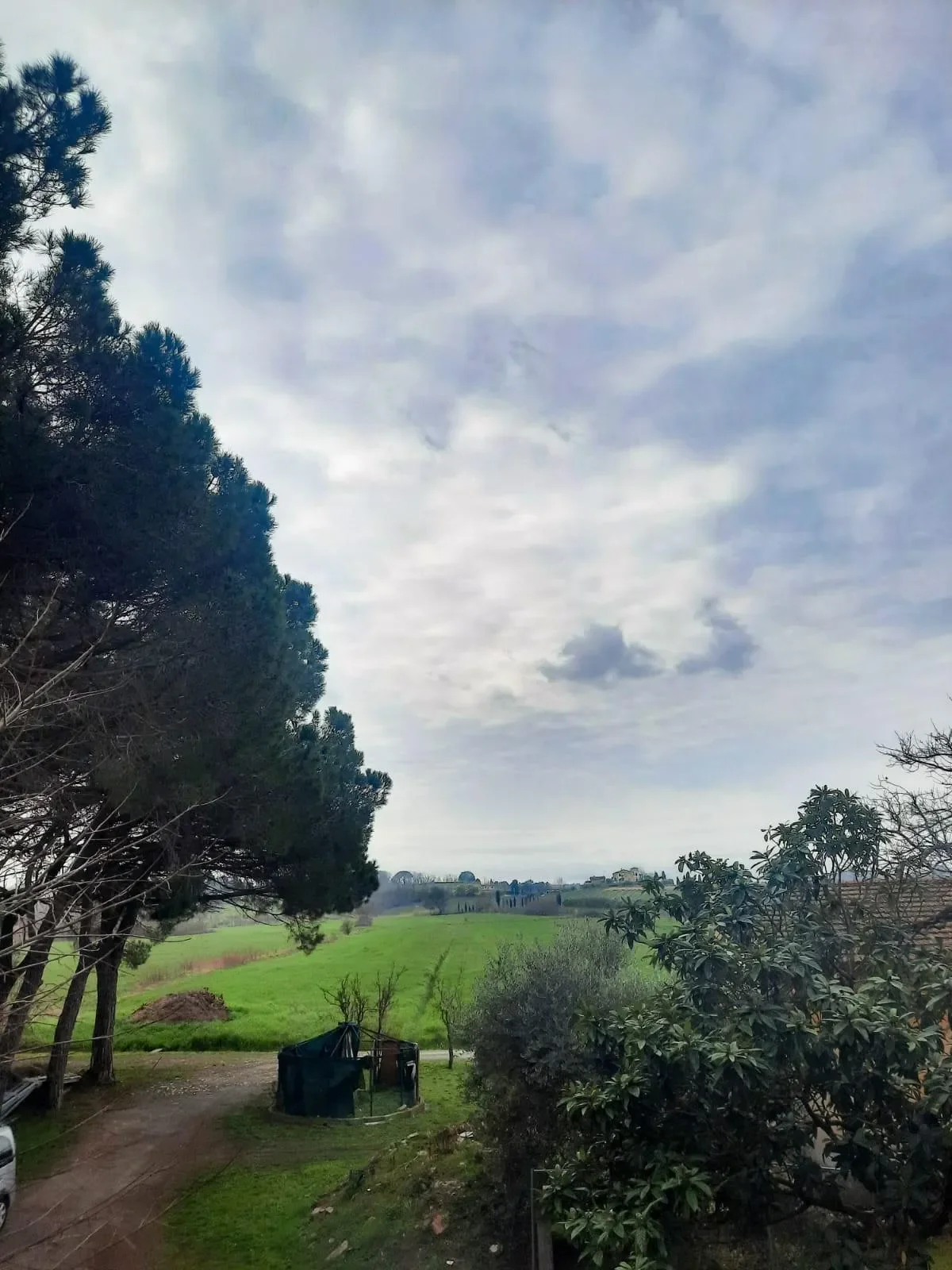 Perignano, Tuscany, Italy. - Photo 14