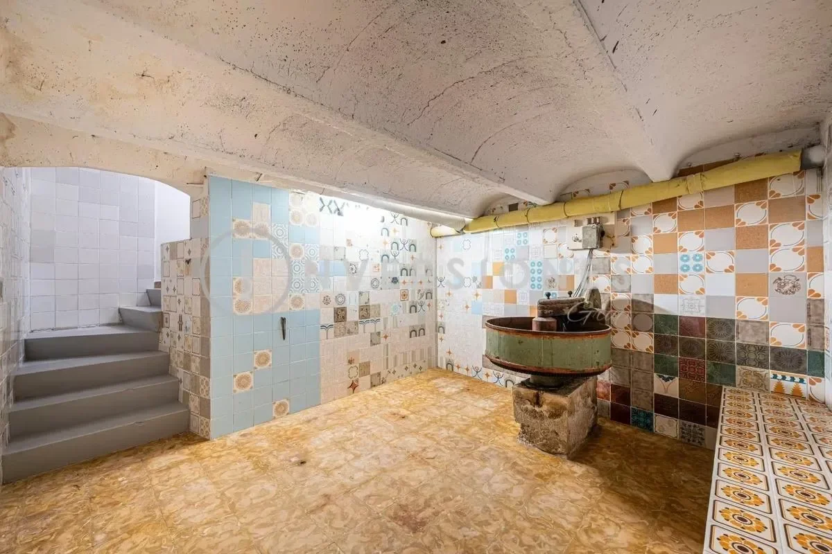 Gallery photo 11