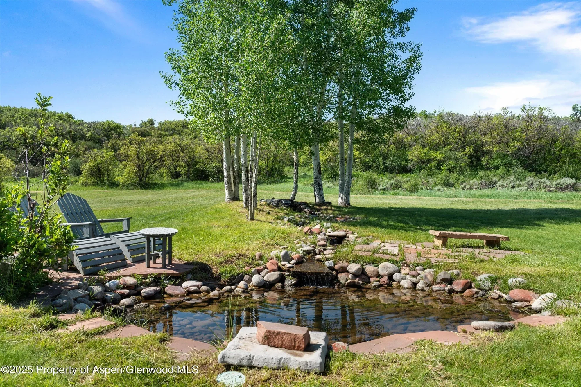 2240 Old Herron Road, El Jebel, Colorado, United States. - Photo 21