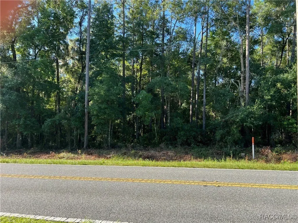 3261 E Stage Coach Trail, Inverness, FL 34452, Inverness, Florida, United States. - Photo 5