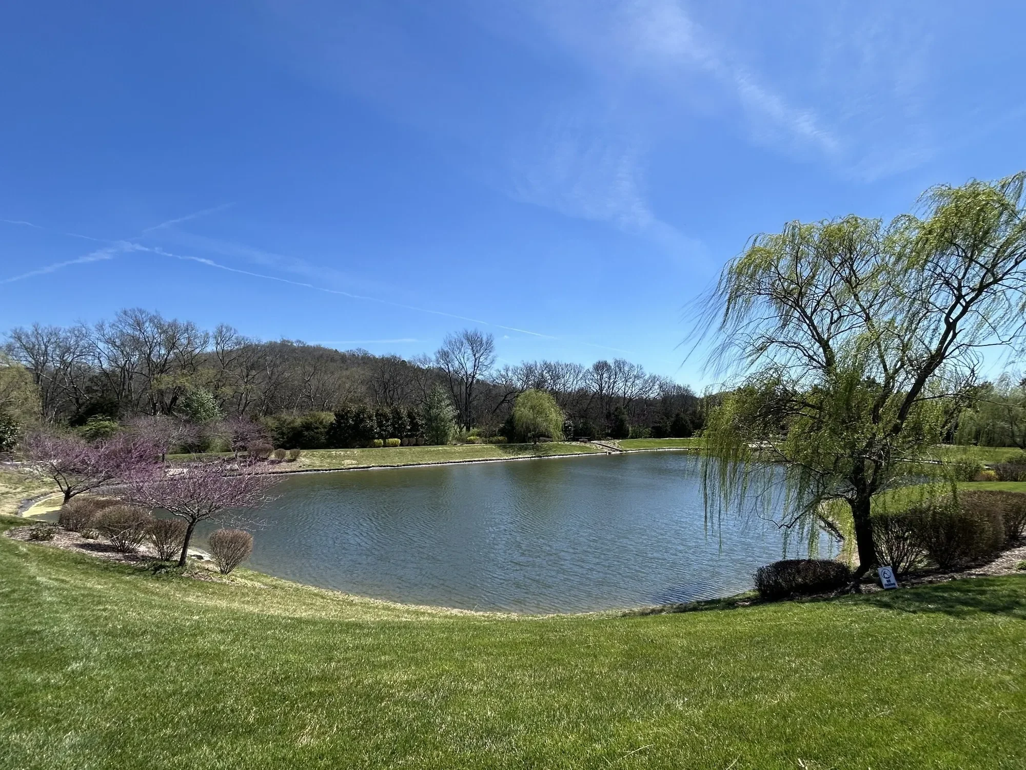 165 Alpine Ct, Franklin, TN, 37069, USA, Franklin, Tennessee, United States. - Photo 33