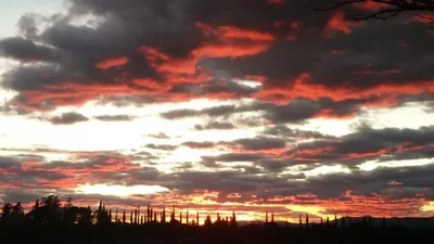 Thumbnail 21