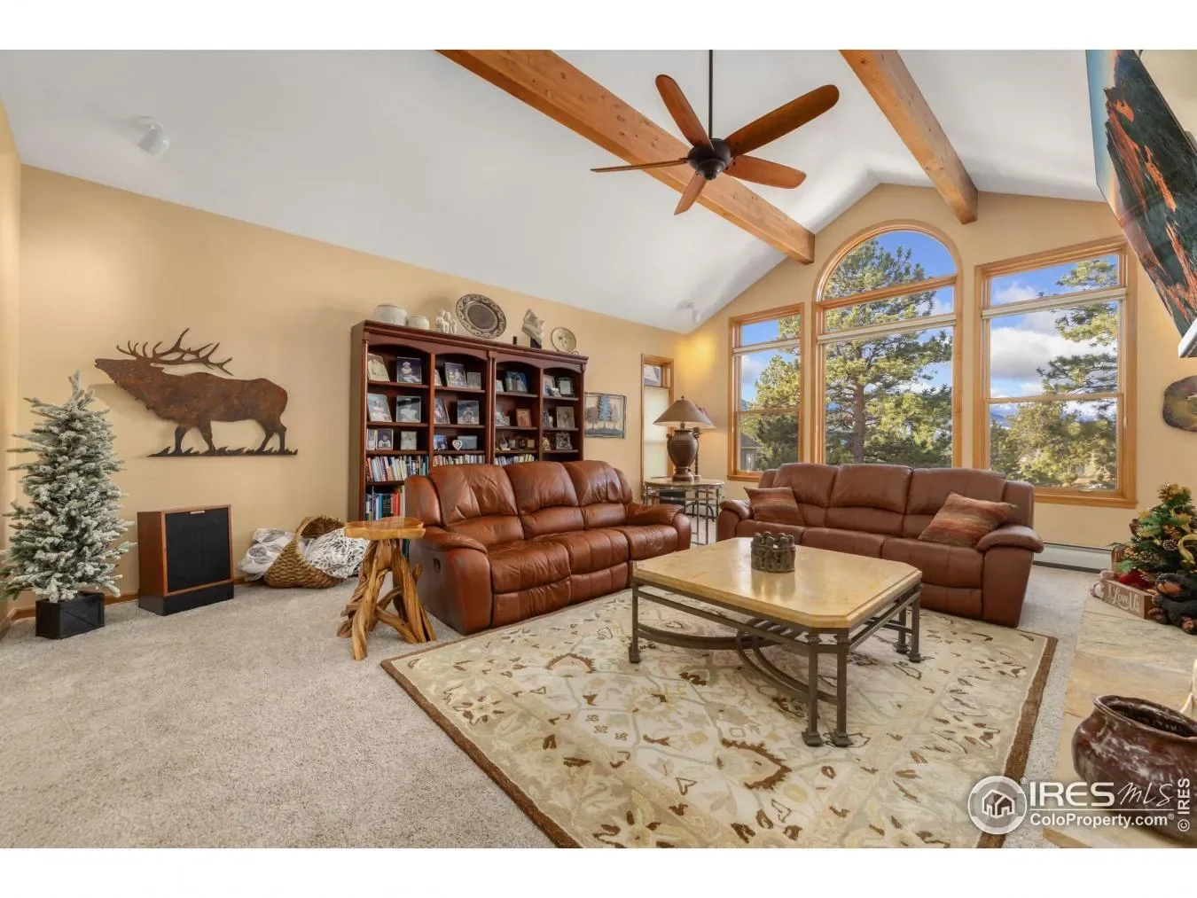 Gallery photo 6