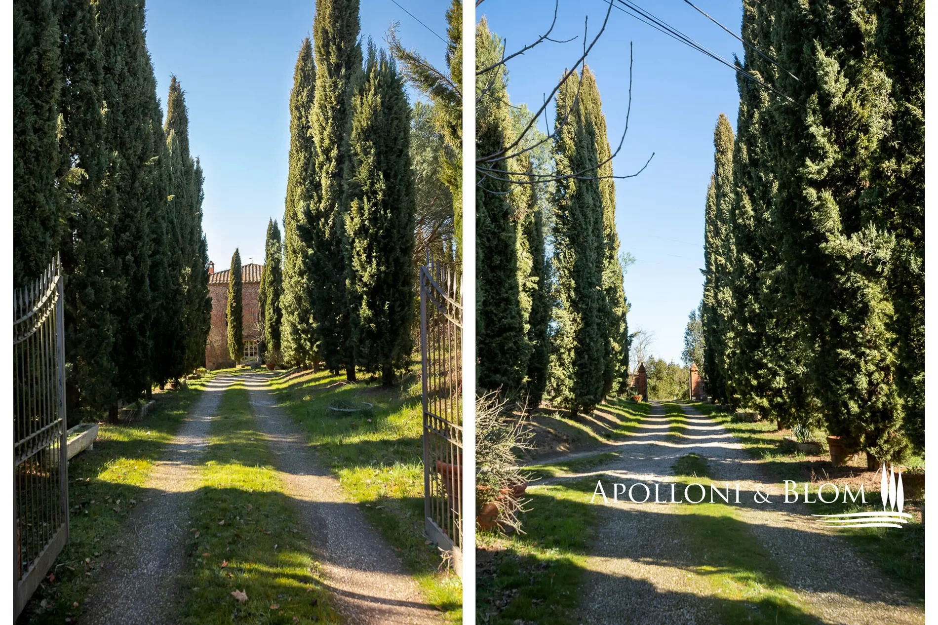 Strada Provinciale 14, Poggi Gialli, Tuscany, Italy. - Photo 33