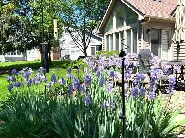 211 Crossing Creek N, Gahanna, OH 43230, Gahanna, Ohio, United States. - Photo 67