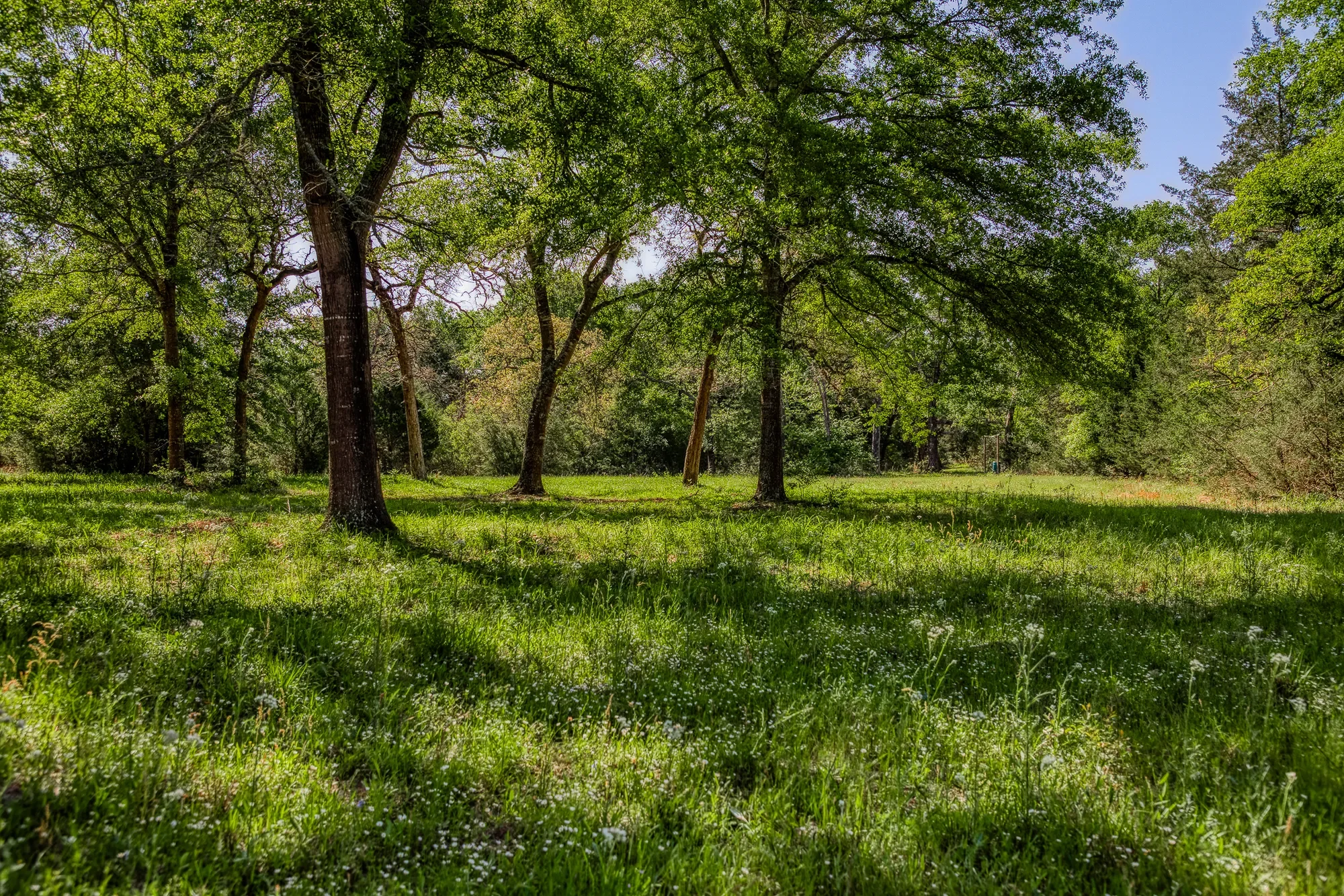 6925 S Sycamore Crossing Rd A , Bellville, TX 77418-3134, Bellville, Texas, United States. - Photo 40